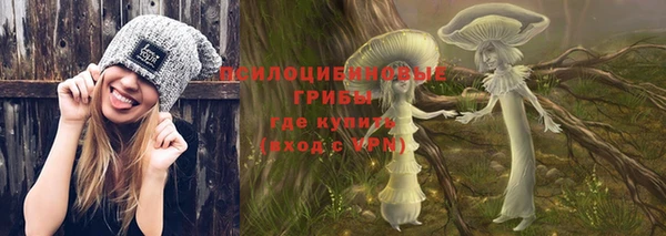 гидропоника Абаза