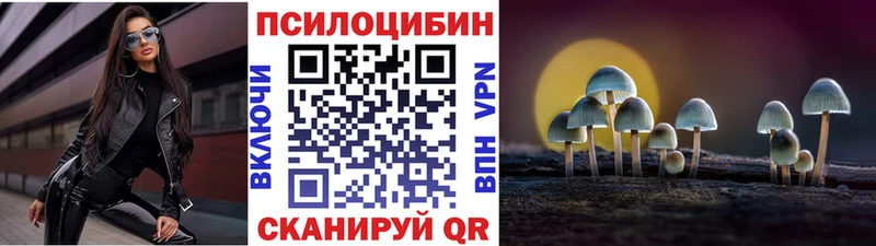 Галлюциногенные грибы Cubensis  купить наркотик  Мосальск 